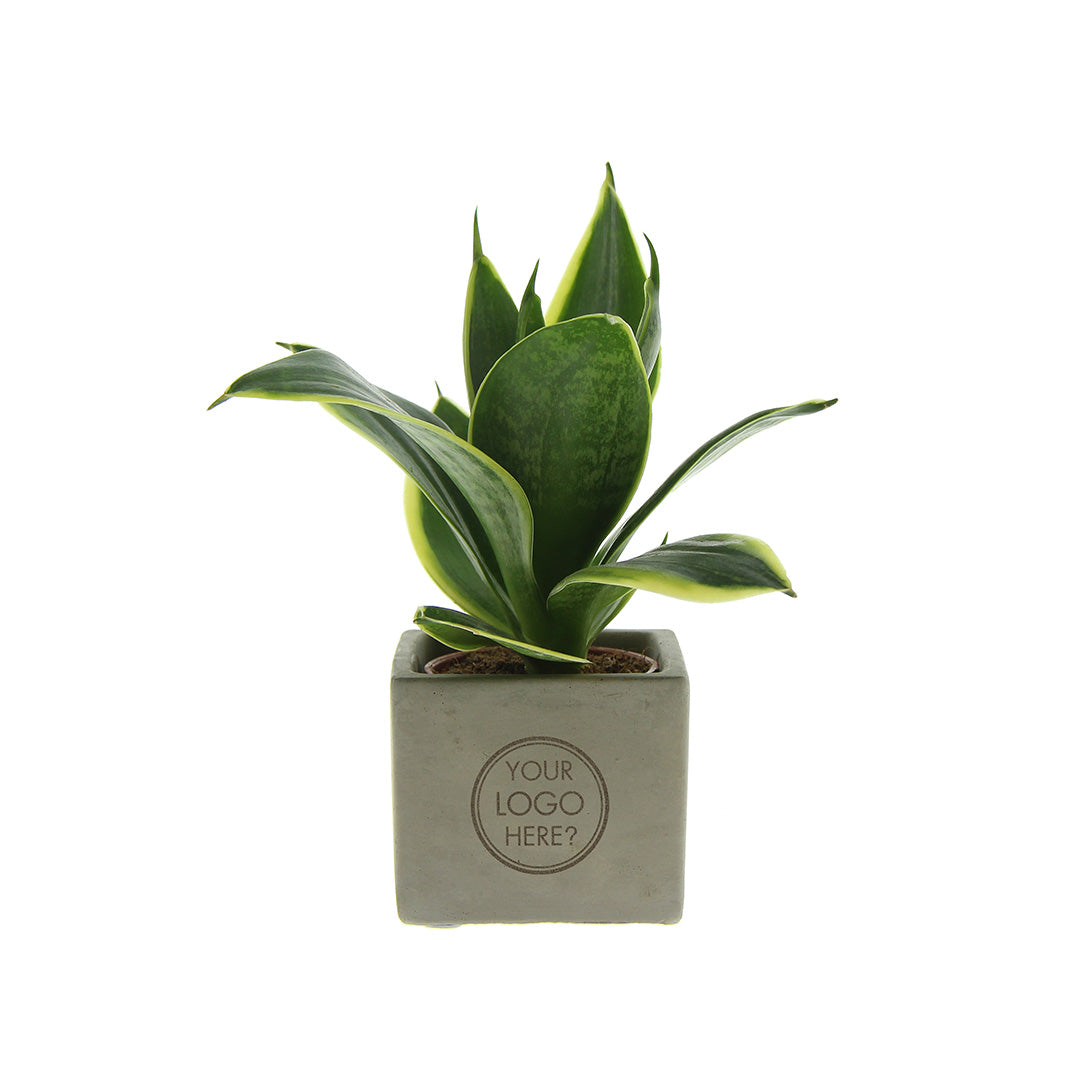 Congreet® plantpots | Jouw logo