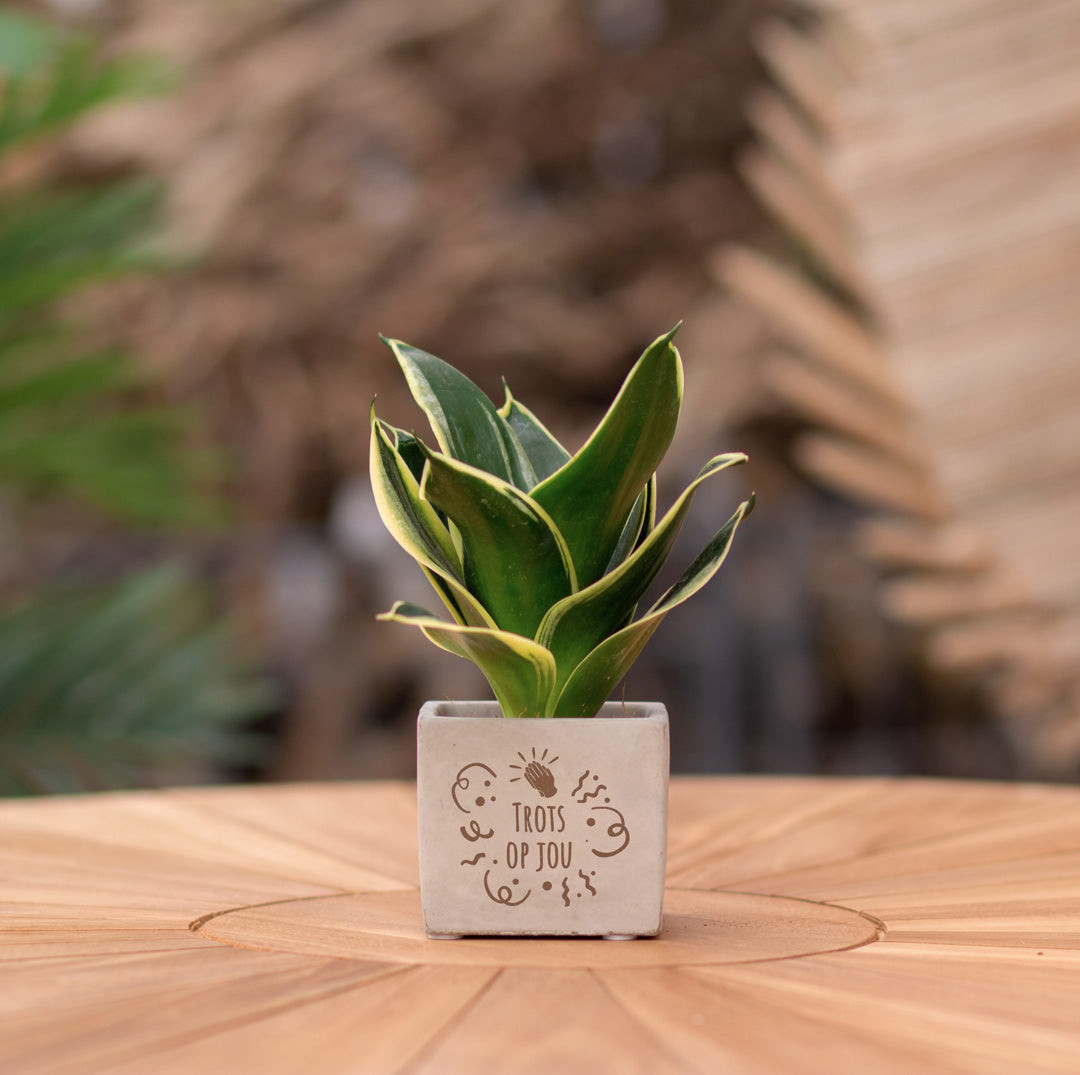 Plantenpot met boodschap met een Congreet® plantpots | Trots op jou