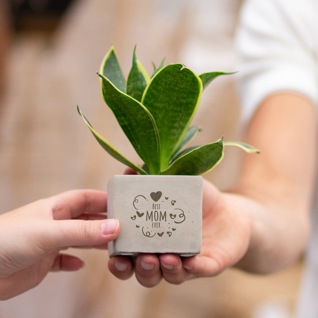 Gepersonaliseerd plantenpot met een Congreet® plantpots | Best mom ever