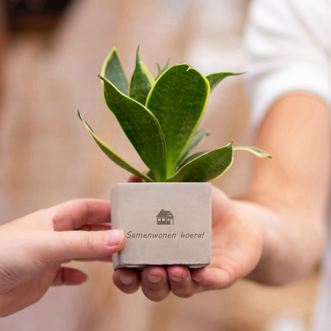 Groen geschenk met een Congreet® plantpots huisje met een gepersonaliseerde boodschap