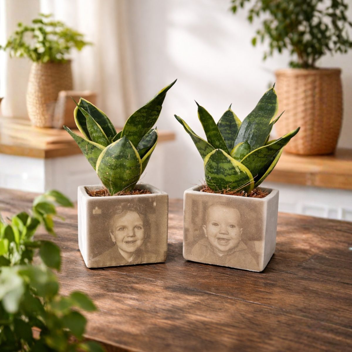 Congreet® plantpots | Jouw foto