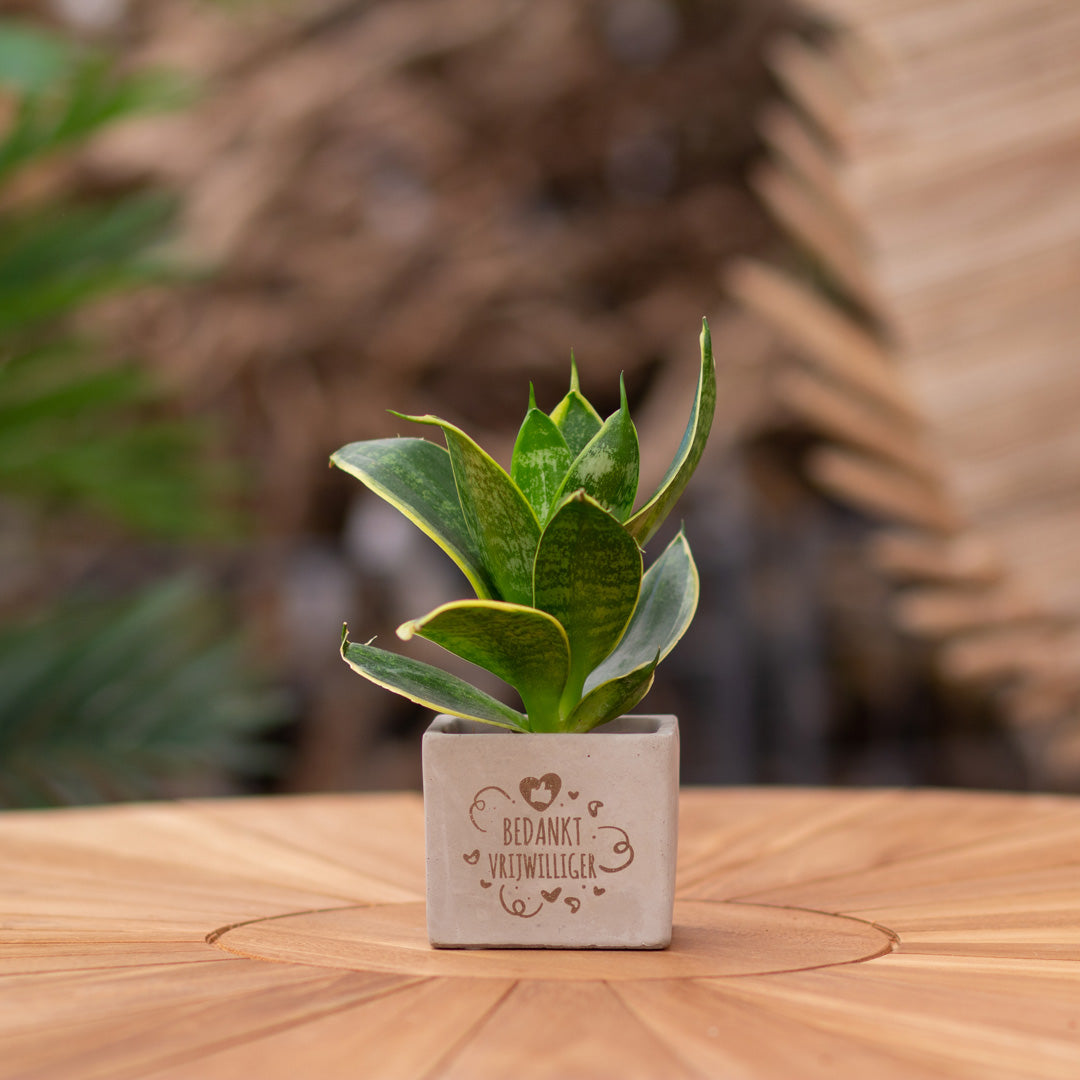 Plantenpot met boodschap met een Congreet® plantpots | Bedankt vrijwilliger