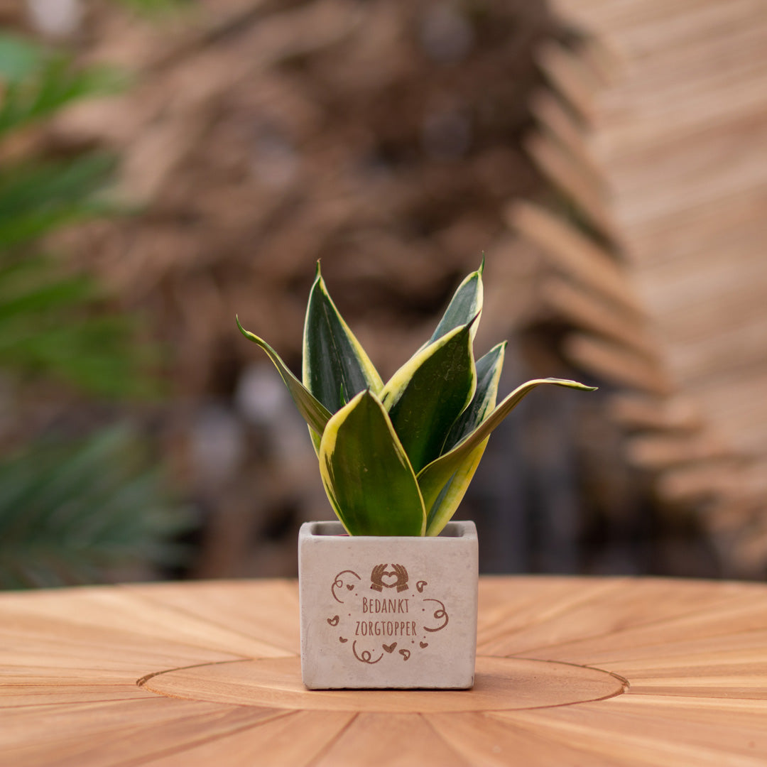 Plantenpot met boodschap met een Congreet® plantpots | Bedankt zorgtopper