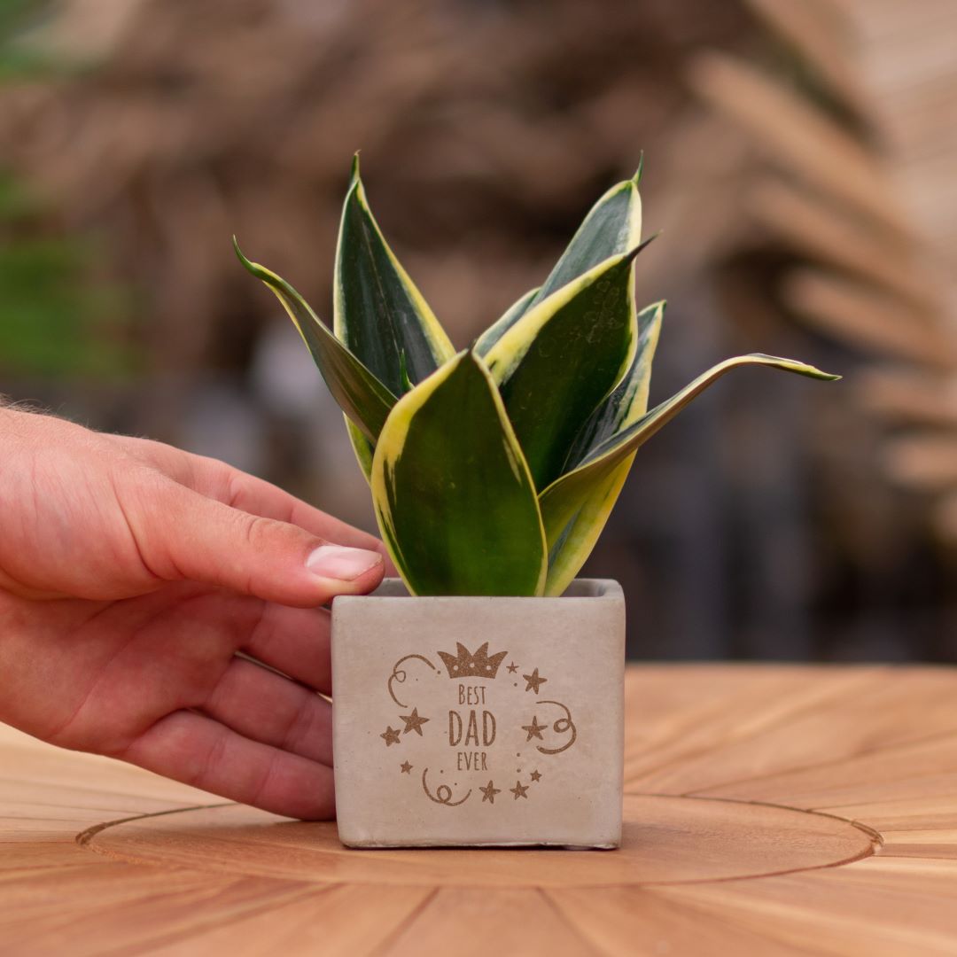 Plant als cadeau met een Congreet® plantpots | Best dad ever
